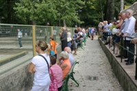 Clicca sulla foto per vedere ingrandimento
